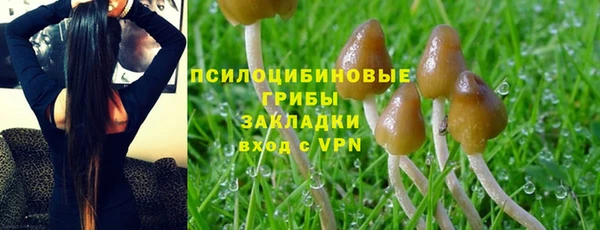 трава Баксан