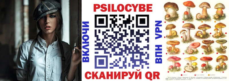 Купить  Пошехонье  Псилоцибиновые грибы Psilocybine cubensis 