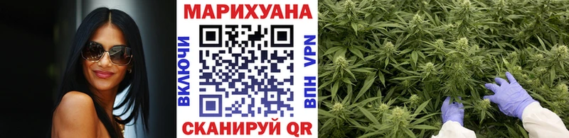 Купить где  Пошехонье  Марихуана индика 